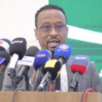 تمنح السلطات حق مراقبة الصحف الإلكترونية.