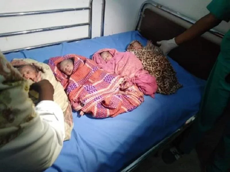 حالة نادرة… سيدة في كردفان تضع 4 توائم بصحة جيدة