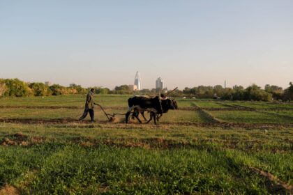 ضبط عملية فساد كبرى تحت غطاء والي ولاية طرفية .. بيع أراضي زراعية مخصصة للاستثمار و تحويل المبالغ في حساب شقيق الوالي