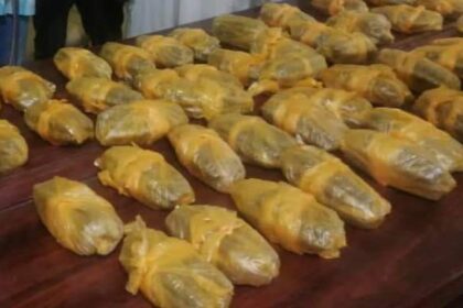 جمارك ولاية الجزيرة تضبط 46 كيلوغراماً من مخدر “الشاشمندي”