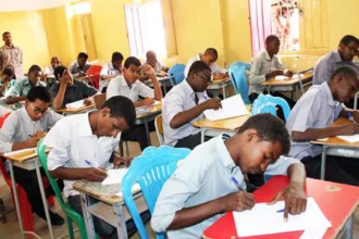 تحديد موعد بدء تصحيح امتحانات الشهادة السودانية