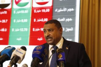 رئيس الغرفة القومية للمستوردين يفجر مفاجأة بشأن وكالة حصرية لشركة سعودية