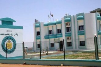 54 قتيلا بينهم 8 عمداء.. لماذا دفعت جامعة الفاشر بدارفور هذا الثمن؟