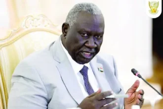 مالك عقار : وحدة السودان خط أحمر .. و لا بديل للجيش الواحد