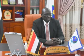 مسيرات تستهدف منزل حاكم اقليم النيل الأزرق